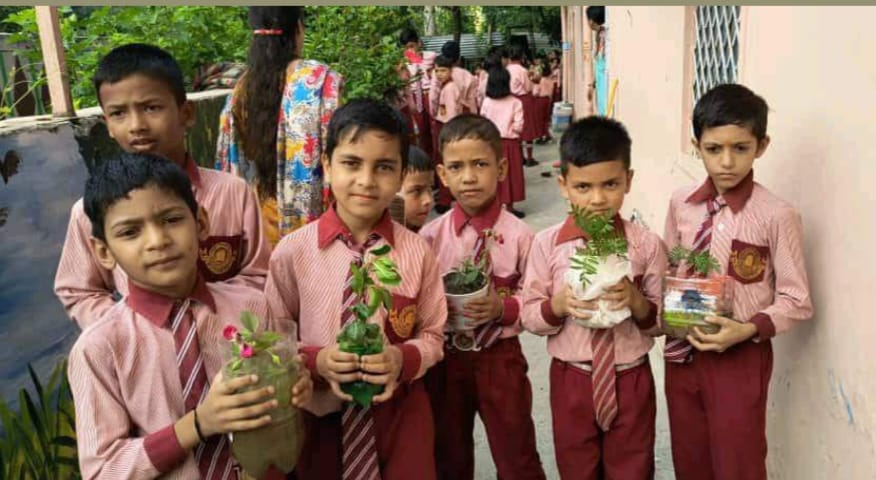 School Garden Plantation